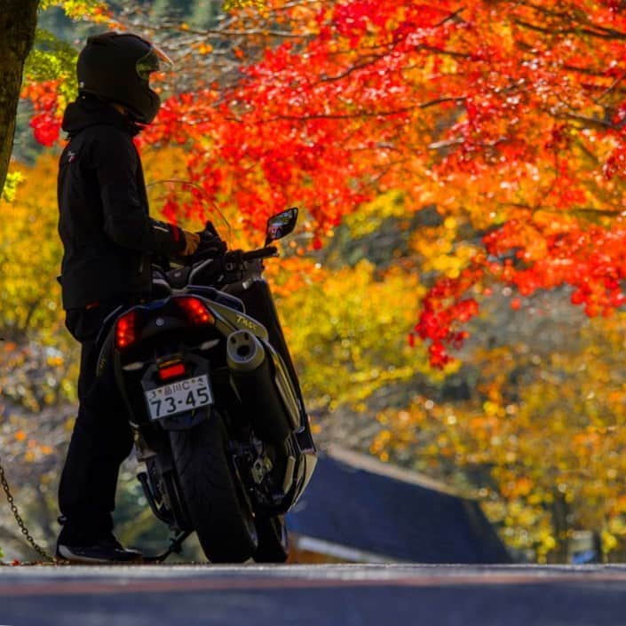 ヤマハ バイクさんのインスタグラム写真 - (ヤマハ バイクInstagram)「スクーターでのんびり紅葉ツーリングってのもいいなぁ🍁✨ #YAMAHAが美しい #TMAX #yamahatmax #YAMAHA #紅葉 #紅葉ツーリング #もみじ #バイクのある風景 #バイクのある生活 #ビッグスクーター #instamoto #motorcyclephotography #redmaple #autumntouring #bigscooter #どんなに紅葉が綺麗でも #走行中は前を見てね #落ち葉にも気をつけてね」11月13日 23時30分 - yamaha_bike