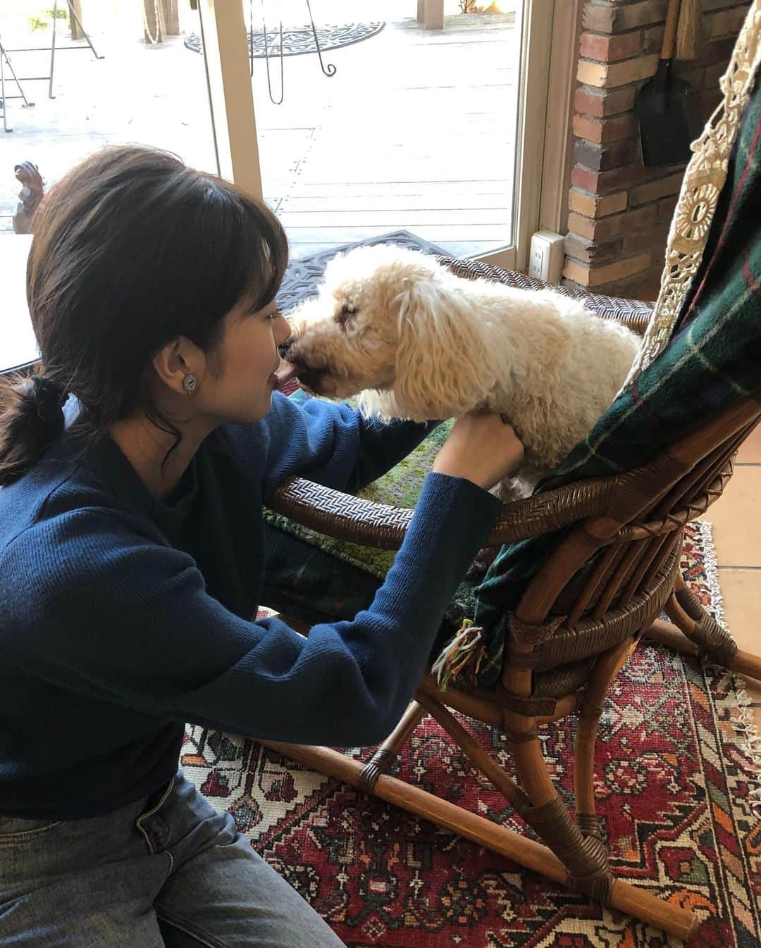 わちみなみさんのインスタグラム写真 - (わちみなみInstagram)「写真の中に🐶は何匹いるでしょう〜か！﻿ ﻿ ﻿ 正解は、二匹だよ🐶❗️❗️﻿ わんこは犬好きがわかるらしい😊😊﻿ 近寄りすぎてしまう😍😍﻿ ﻿ #犬かわいい﻿ #トイプードル﻿ #親子﻿ #人の家の犬 #警戒されてる #イチナナキログラム  #17kg #ストレートデニム  デニムは @17kg_official 👖 ストレートタイプではき心地が楽なの🙆‍♂️」11月13日 23時34分 - wacchime