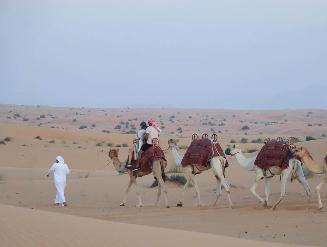 カルロス・ベラさんのインスタグラム写真 - (カルロス・ベラInstagram)「🐫🏜」12月13日 3時16分 - carlosv11_