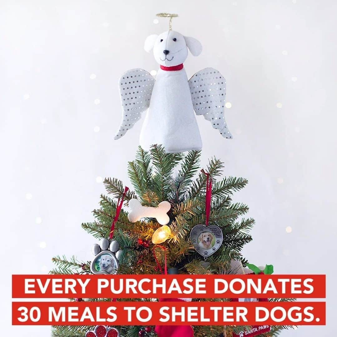 Animalsのインスタグラム：「IT'S A MIRACLE. 😲 This Christmas Miracle Tree Topper donates 30 meals to shelter pups in need. Over. 3.9 million dogs are waiting to be adopted in shelters, will you help give them full belly meals? 😢❤️ Shop link: https://iheartdogs.co/xmas_miracle」