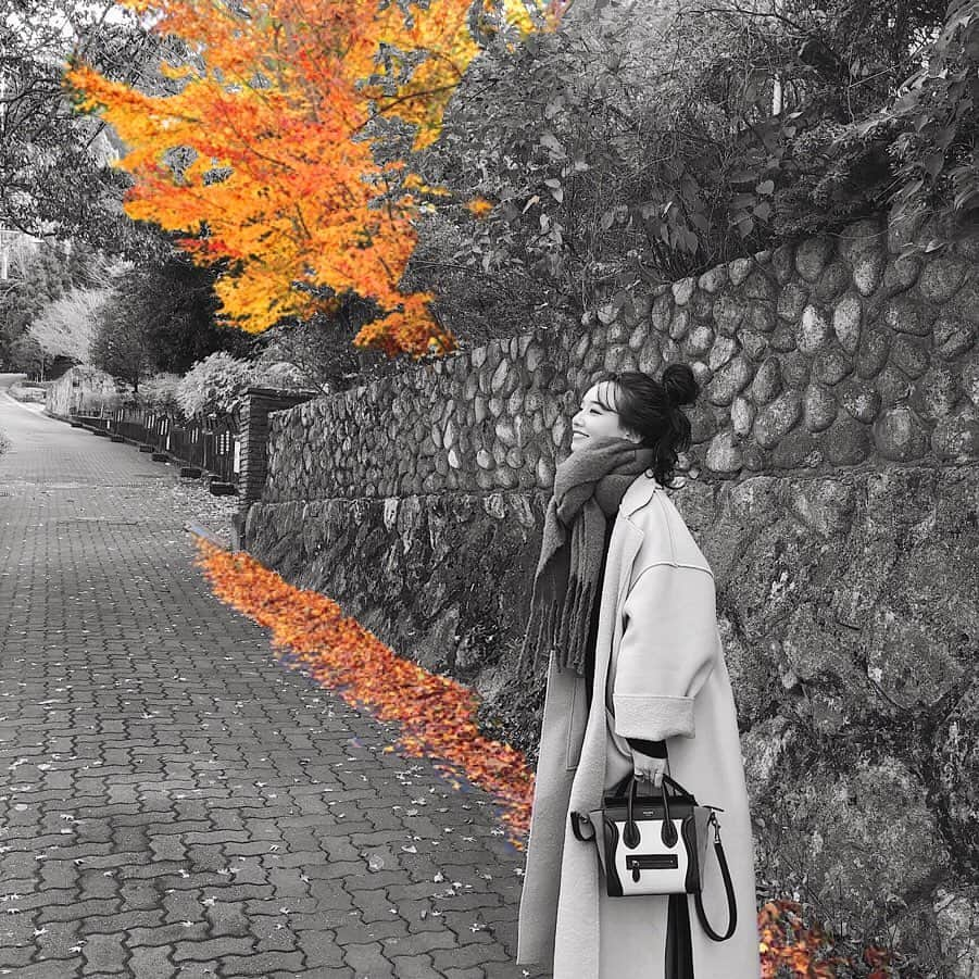 天野ゆうかさんのインスタグラム写真 - (天野ゆうかInstagram)「有馬温泉に来ています♨️ . . 紅葉もまだまだ楽しめたし🍁、 この時期に入る温泉は言わずもがな "最高" なわけで♨️🍶 . . 旅館の夜ご飯の美味しさにも大満足🥢←今ココ 豪華な食材の面々に胃袋をパンチされてますが 嫌じゃないなー😏🤛🏻 #真薯と茶碗蒸しの中にもウニとフカヒレがかくれんぼなサプライズ 撮るの忘れたけど、白ご飯とお味噌汁とお漬物も付いてきました🍚 故に満腹🤰🏻◎ . . お部屋に戻ってゆっくりゴロゴロ過ごすとします🍵 #食っちゃ寝 サイコウ。 . . . #有馬 #有馬温泉 #日本三古泉 #神戸 #温泉旅行 #旅行 #有馬温泉街  #温泉旅館 #温泉 #温泉好き #紅葉 #神戸グルメ #japan #japantrip #hotsprings #hotspring #spa #arima #arimaonsen #일본 #여행 #일본여행 #일본여행🇯🇵 #일식 #온천 #온천여행 #온천장 #온천천」12月12日 19時31分 - yucca_official