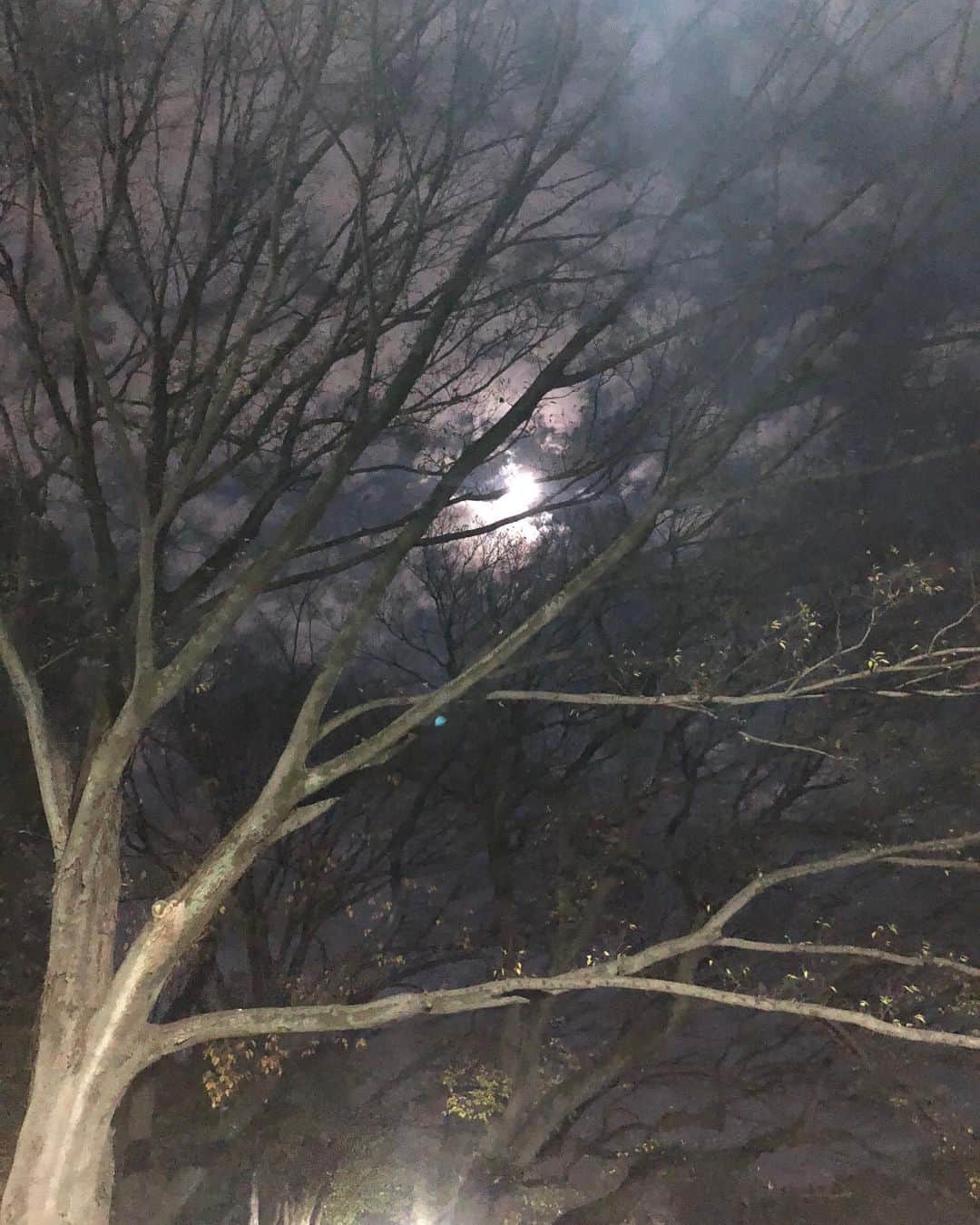高橋ひとみさんのインスタグラム写真 - (高橋ひとみInstagram)「今日は令和元年最後の満月 「コールドムーン」🌕 12月の満月をそう呼ぶそうです。 東京は昼の暖かさから夜は急に 寒くなりました。 暖かくしておやすみ下さい。」12月12日 21時23分 - hitomi_momoe