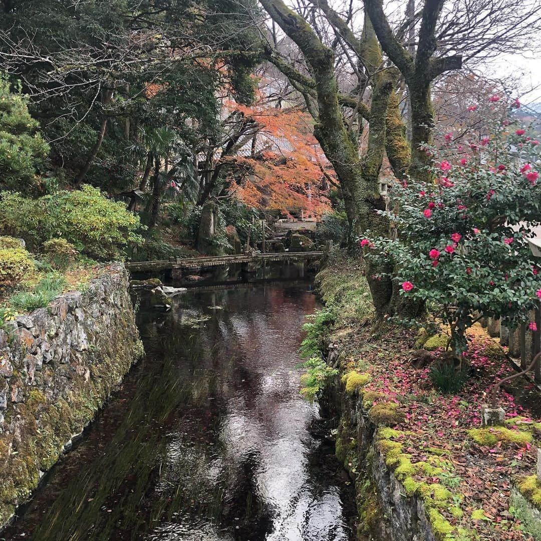 佐伯紅緒さんのインスタグラム写真 - (佐伯紅緒Instagram)「映画撮影見学に行く途中、時間があったので車を借りて郊外へ足を伸ばしました。 中山道・醒井宿。 街道沿いに流れる地蔵川に咲く梅花藻という水中花の合間に、ハリヨという珍しい魚が棲んでいました。 湧き水がとても綺麗でした。日本名水百選のひとつだそうです。  #中山道 #醒井宿 #滋賀観光  #梅花藻 #ハリヨ #日本名水百選」12月12日 21時24分 - beniosaeki