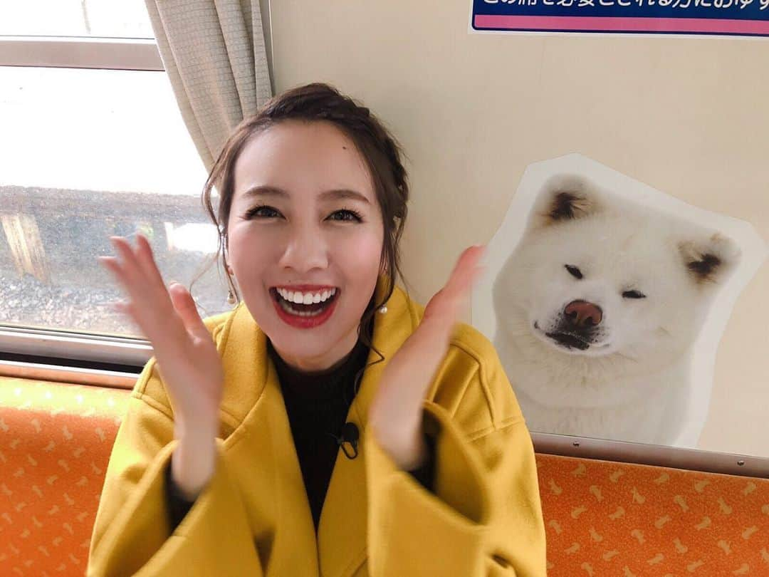 相場詩織さんのインスタグラム写真 - (相場詩織Instagram)「【秋田内陸線 秋田犬っこ列車🐶❤️】﻿ ﻿ 秋田内陸縦貫鉄道に乗って﻿ 角館から上桧木内に行ってきました🚃﻿ ﻿ 大人気俳優坂口健太郎さんも﻿ 写真集の撮影で乗車されたという﻿ 秋田犬っこ列車✨﻿ ﻿ 名前のとおり列車のいたる所に﻿ かわいい秋田犬の写真があって癒されました😍﻿ よーく見るとシートの絵柄も﻿ 秋田犬なんですよ💓﻿ 私は見つけられなかったのですが﻿ そのシートの絵柄の中に別の動物が﻿ 混ざっているのだとか🤫﻿ 気になる！！！！！！﻿ ﻿ 列車内にはWi-Fiもトイレもあるので﻿ ご安心ください👍﻿ ﻿ 利き酒列車やごっつお玉手箱列車など﻿ (地元農家のお母さん達による手作り農家料理が﻿ 数駅で次々持ち込まれるそうです🤤)﻿ イベント列車企画もあるそうなので﻿ 今度はその時に乗車してみたいなと思います✨﻿ ﻿ ﻿ #秋田内陸線 #秋田内陸縦貫鉄道 #秋田 #秋田犬 #鉄道﻿ #秋田内陸線PR #秋田犬っこ列車 #坂口健太郎 さん﻿ #イベント列車 #インスタ映え #1人旅 #女子旅 #東北﻿ #ヘアアレンジ #ヘアメイク #おだんごアレンジ  #akitainu #akita #instagood #explorejapan﻿ #7things #akitalovers #akitadog #train #akitasofinstagram #traveljapan #visitjapan #visitakita #溫泉 #觀光」12月12日 21時34分 - shioriaiba0801