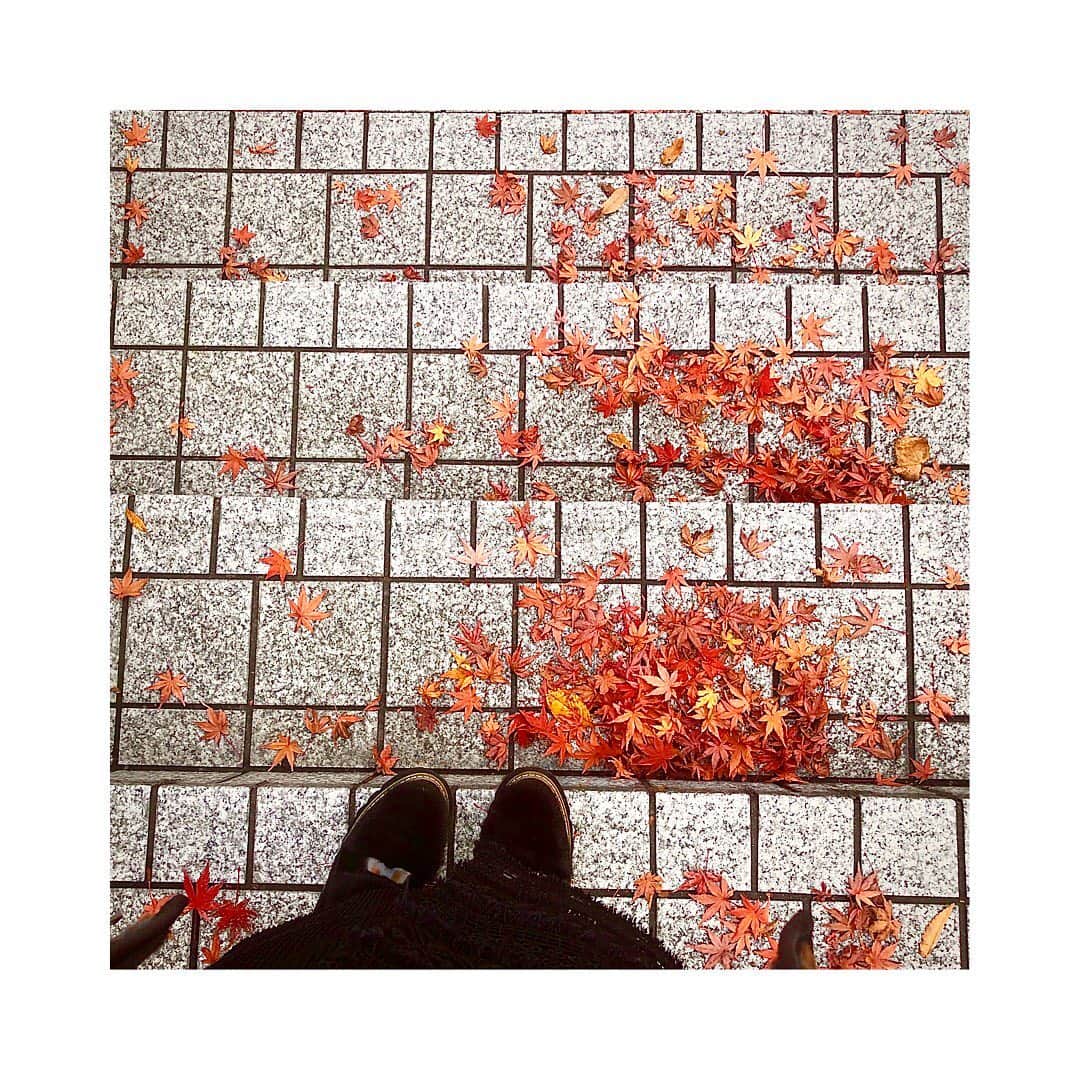城南海さんのインスタグラム写真 - (城南海Instagram)「🍁🍁🍁」12月12日 22時04分 - kizukiminami