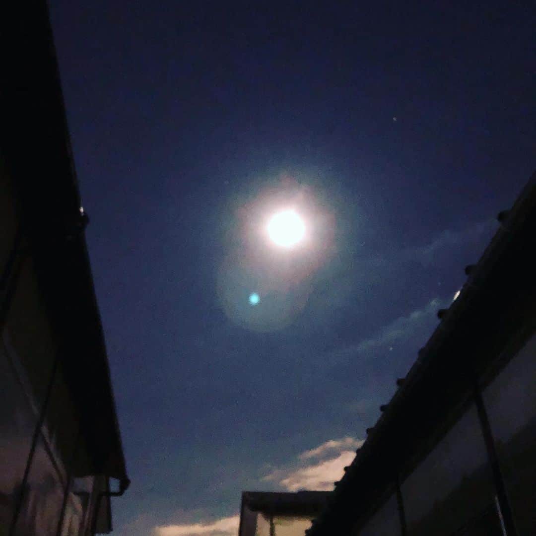 兵頭彰のインスタグラム：「月が綺麗ですね🌕 だから今日は大盛り月見うどん #bjw #大日道場飯」