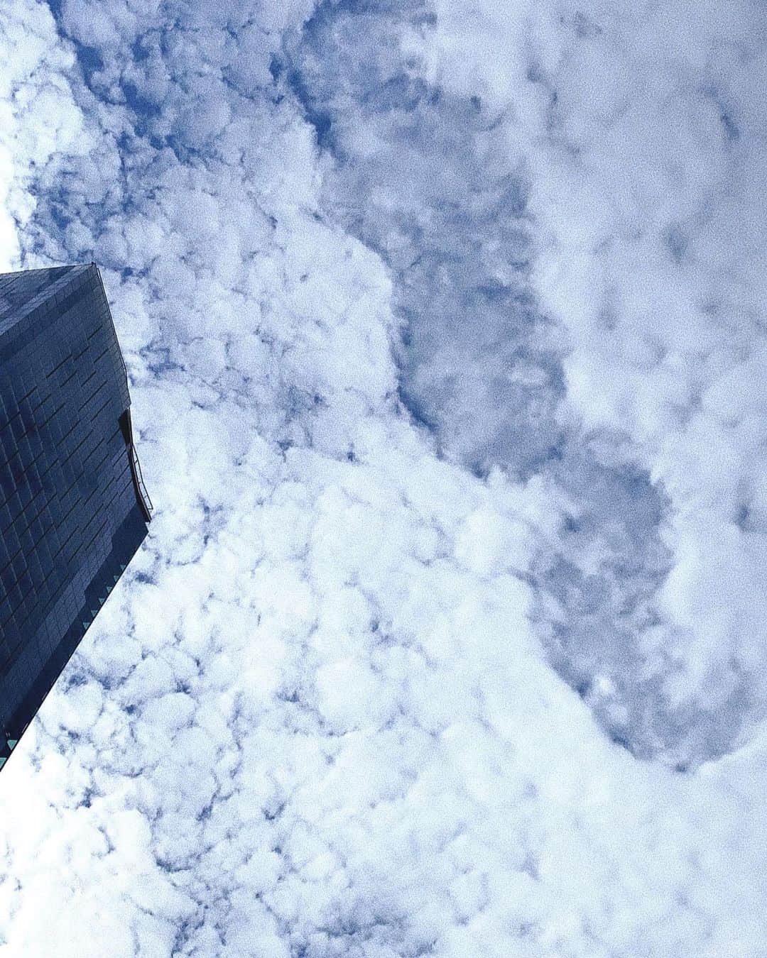 Hayato Sagawaさんのインスタグラム写真 - (Hayato SagawaInstagram)「☁︎ ﻿ あの展望台から外を眺めてみたい﻿ と﻿ 雲が雪みたい﻿ ﻿ #渋谷スクランブルスクエア　 #いつかの写真」12月12日 22時32分 - sagawa_hayato