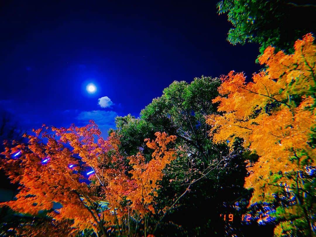 平祐奈さんのインスタグラム写真 - (平祐奈Instagram)「今日は12月最後の満月なのね🌕 紅葉とお月様が美しくて絵葉書の様な景色を帰り際に見れました。今日も1日お疲れ様です。 寒いので温まって寝てね💫 おやすみなさい😴」12月12日 22時57分 - yunataira_official