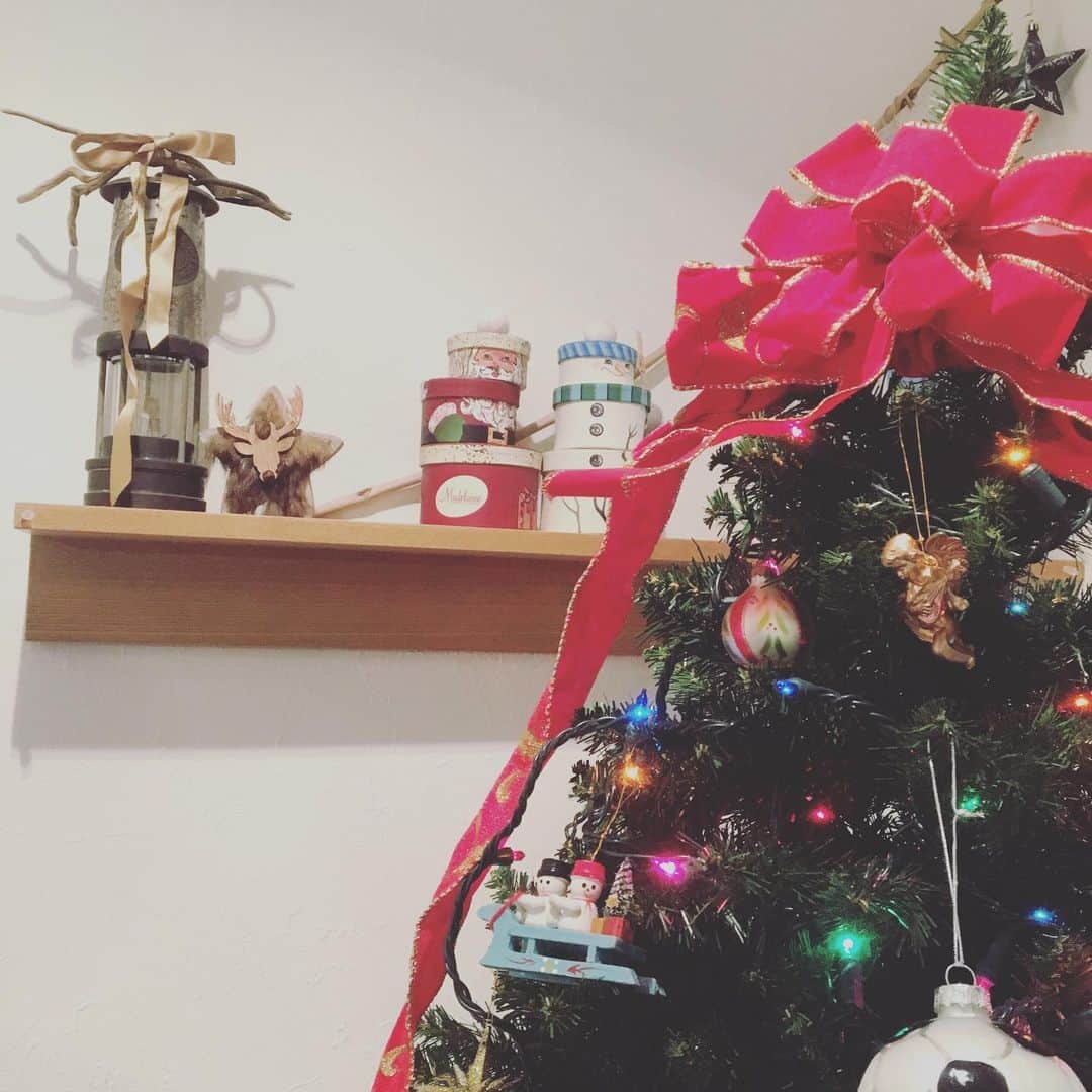 蒼井里紗さんのインスタグラム写真 - (蒼井里紗Instagram)「クリスマスだー。  みんないつの間にかアドベントカレンダーやるようになったの？ クリスチャン以外の家庭も近ごろはやるんだね。  #アドベントカレンダー  #アドベント  #クリスマス #クリスマスツリー  #クリスマスかざりつけ」12月12日 22時57分 - risaoi328