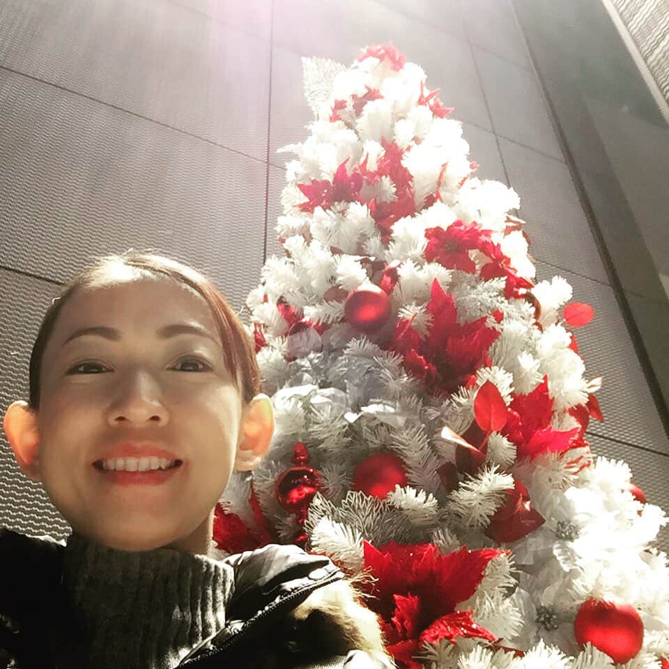 田井弘子さんのインスタグラム写真 - (田井弘子Instagram)「クリスマスなんて、なにも予定も無いけどさっ☆  クリスマスで、キラキラな年末の街の雰囲気は大好きさっ✨  めで鯛！色のツリーだったから撮ってみた。  そして、私の耳は光が透ける！！(笑)  #めで鯛 #クリスマス #クリスマスツリー  #紅白  #銀座」12月12日 23時00分 - hirokotai