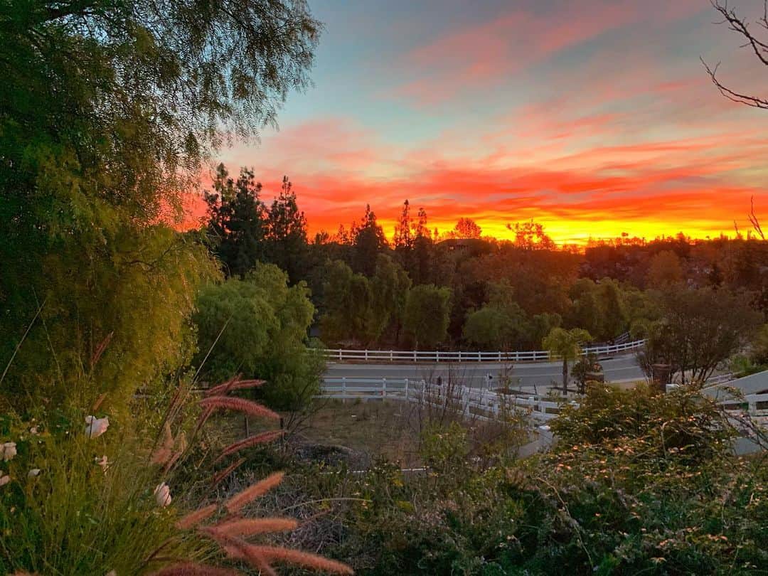 ホリー・マリー・コームズのインスタグラム：「Jet lag has it’s perks. Few but still... #nofilter」