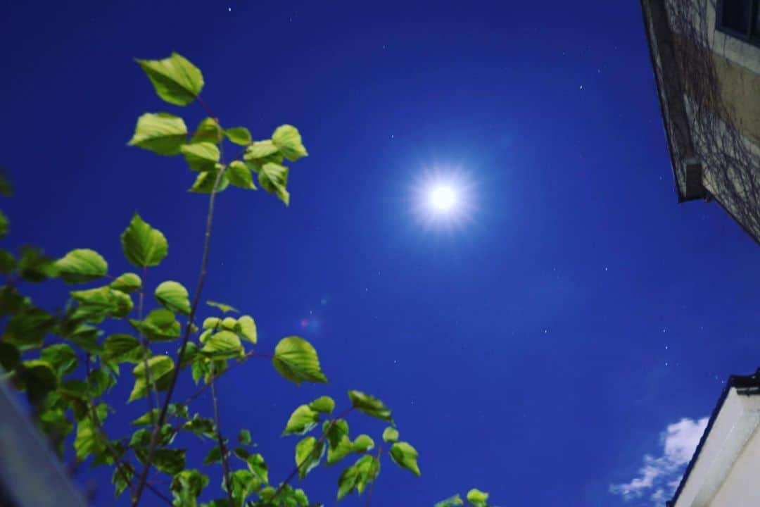 久保田秀敏さんのインスタグラム写真 - (久保田秀敏Instagram)「今日の月は『コールドムーン』と言うらしいですね。 東京の夜空も綺麗な星たちがたくさん輝いてます。 明日もいい一日でありますように🌝 にしても、星空撮るにはやっぱり三脚がないとブレるなー。  #コールドムーン #nightsky #canon #eos #eosr #pics_japan #photo_japan #art_of_japan_ #japan_portrait_club #bestjapanpics #my_eos_photo」12月12日 23時55分 - hidetoshi_kubota