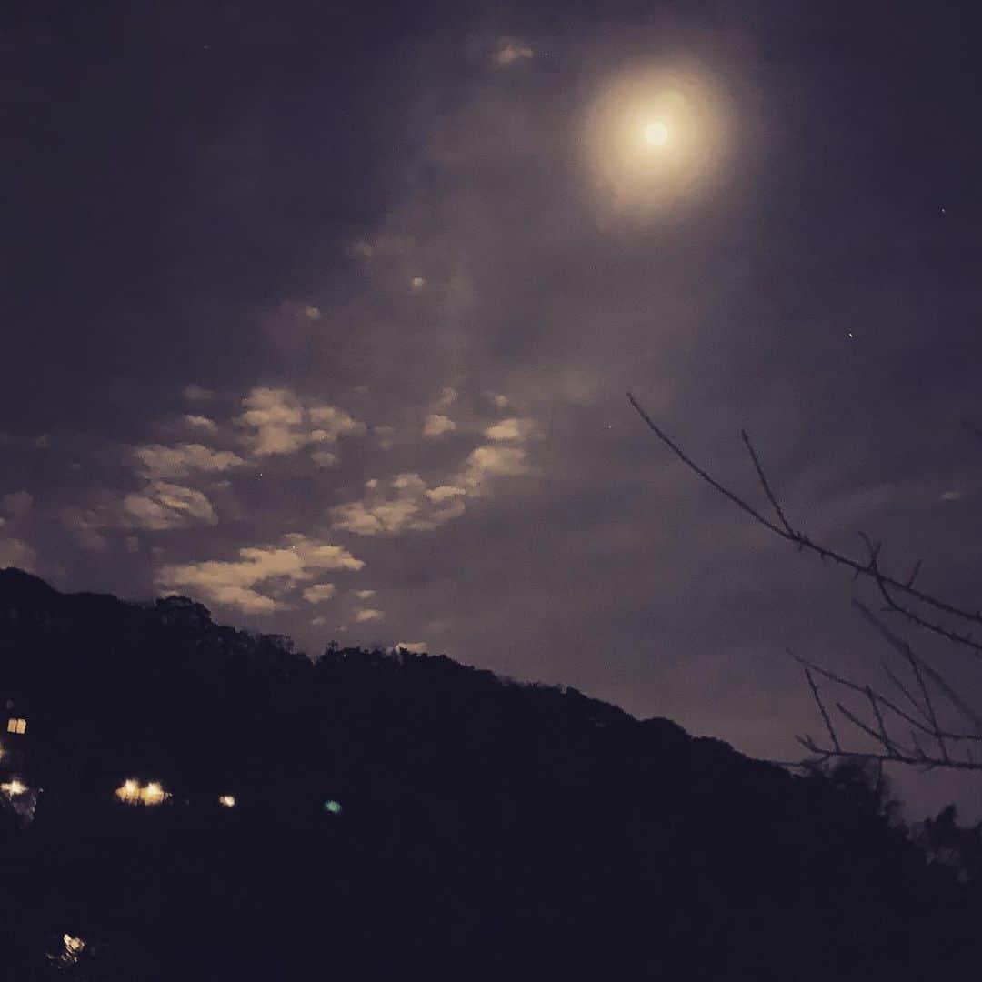 クリス智子さんのインスタグラム写真 - (クリス智子Instagram)「12月の満月。 気持ちが先へ導かれる。」12月13日 0時36分 - chris_tomoko