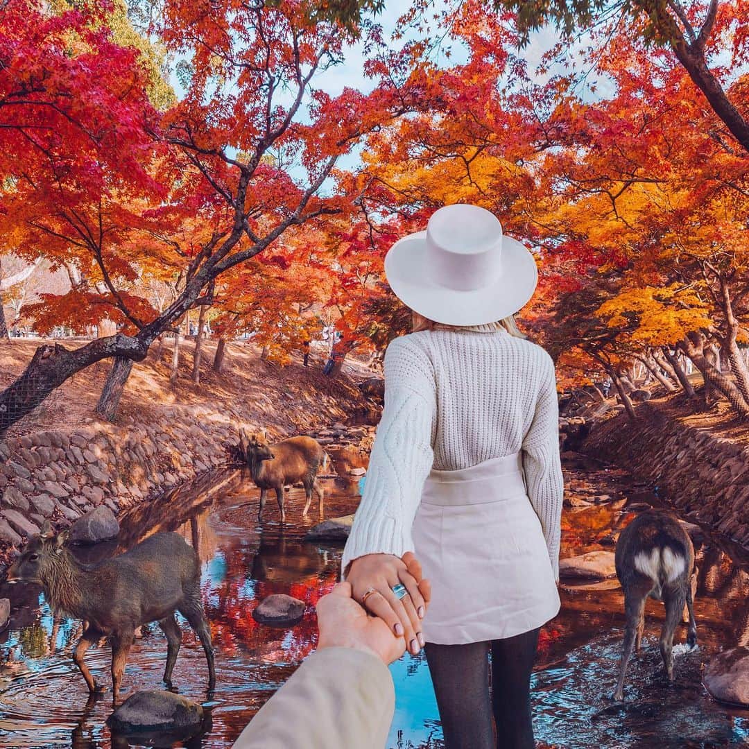 Murad Osmannのインスタグラム：「#followmeto the bowing deers of Nara with @natalyosmann. Our favorite place in Japan 🦌♥️. Swipe to check some backstage videos :)!」