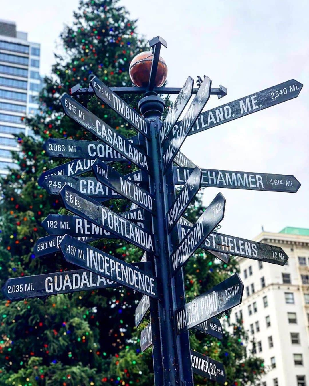 Portlandさんのインスタグラム写真 - (PortlandInstagram)「Stop by @thesquarepdx TODAY (Thursday, 12th) @ 11:30 AM to pick up a FREE MINI POINSETTIA!(while supplies last) - 📷: @kathylstolp #Portland #PortlandNW #PDX #Holiday」12月13日 1時51分 - portland