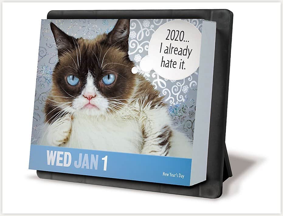 Grumpy Catさんのインスタグラム写真 - (Grumpy CatInstagram)「The all new Grumpy Cat 2020 Year-In-A-Box calendar from @mead.calendars is available now! Makes the perfect gift for anyone who wants to stay grumpy all year long. https://www.mead.com/mead/browse/product/Grumpy+Cat+Calendar/LMB247 (Link in story)」12月13日 2時41分 - realgrumpycat