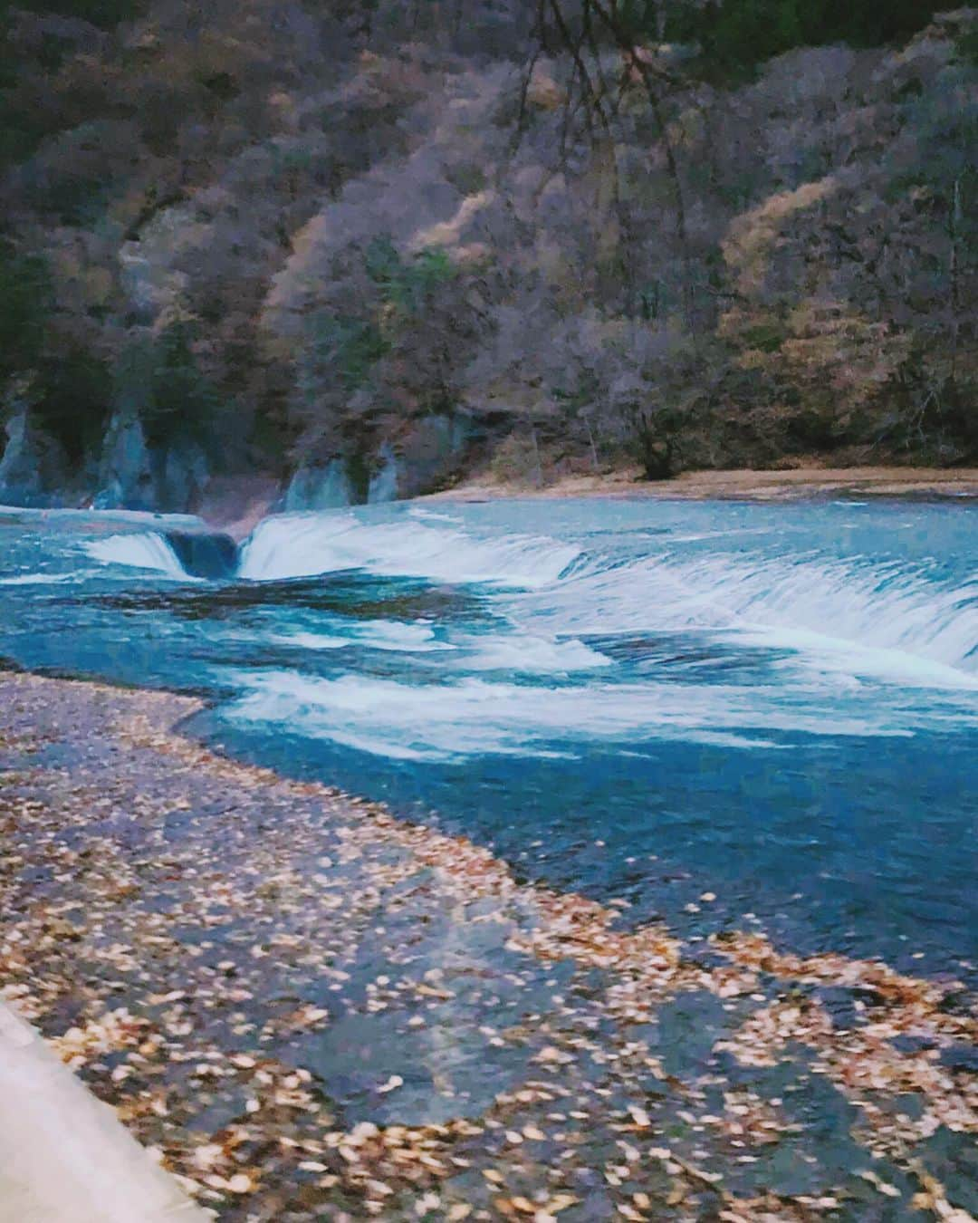 カイヤさんのインスタグラム写真 - (カイヤInstagram)「Fukiware Falls Gunma🍁 吹割の滝群馬🍁 . . . . . . . . . . . . #caiya #カイヤ #川﨑介耶 #taki #falls #gunma #japan #travel #beautiful #recharge #soul #autumn #koyo #meditation #love #peace #family #heart #breathtaking #lovemylife #photooftheday #alwayslove #healing #myjourney #doingitmyway #loveyou」12月9日 6時32分 - caiya.kawasaki