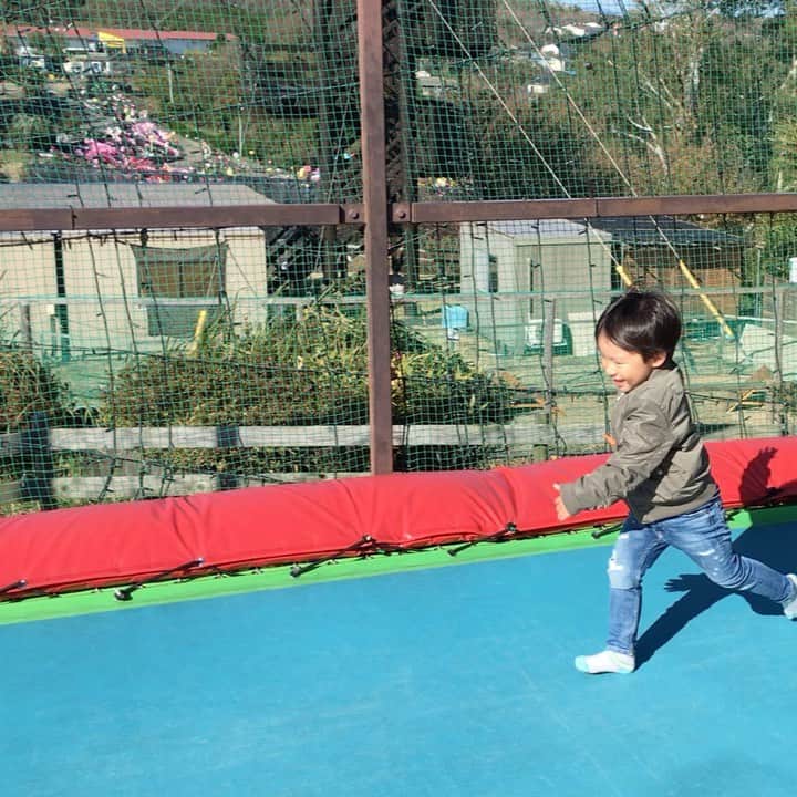 蒲生麻由のインスタグラム：「テンション高すぎ⤴︎🤣 #2歳10ヶ月男の子 #男の子ママ #息子と旅行 #mamalife #トランポリンで大はしゃぎ #謎のテンション #コケてもめげない」