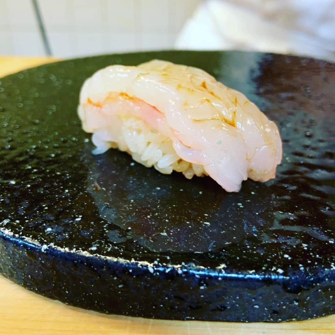 志摩有子さんのインスタグラム写真 - (志摩有子Instagram)「久しぶりの松寿司。大間の鮪が素晴らしすぎる。花が咲いたみたいなネギとろたく巻きにもうっとり。あ、もちろん雲丹ドッグも大盤振る舞い。美味しくて楽しい。」12月8日 22時48分 - ariko418