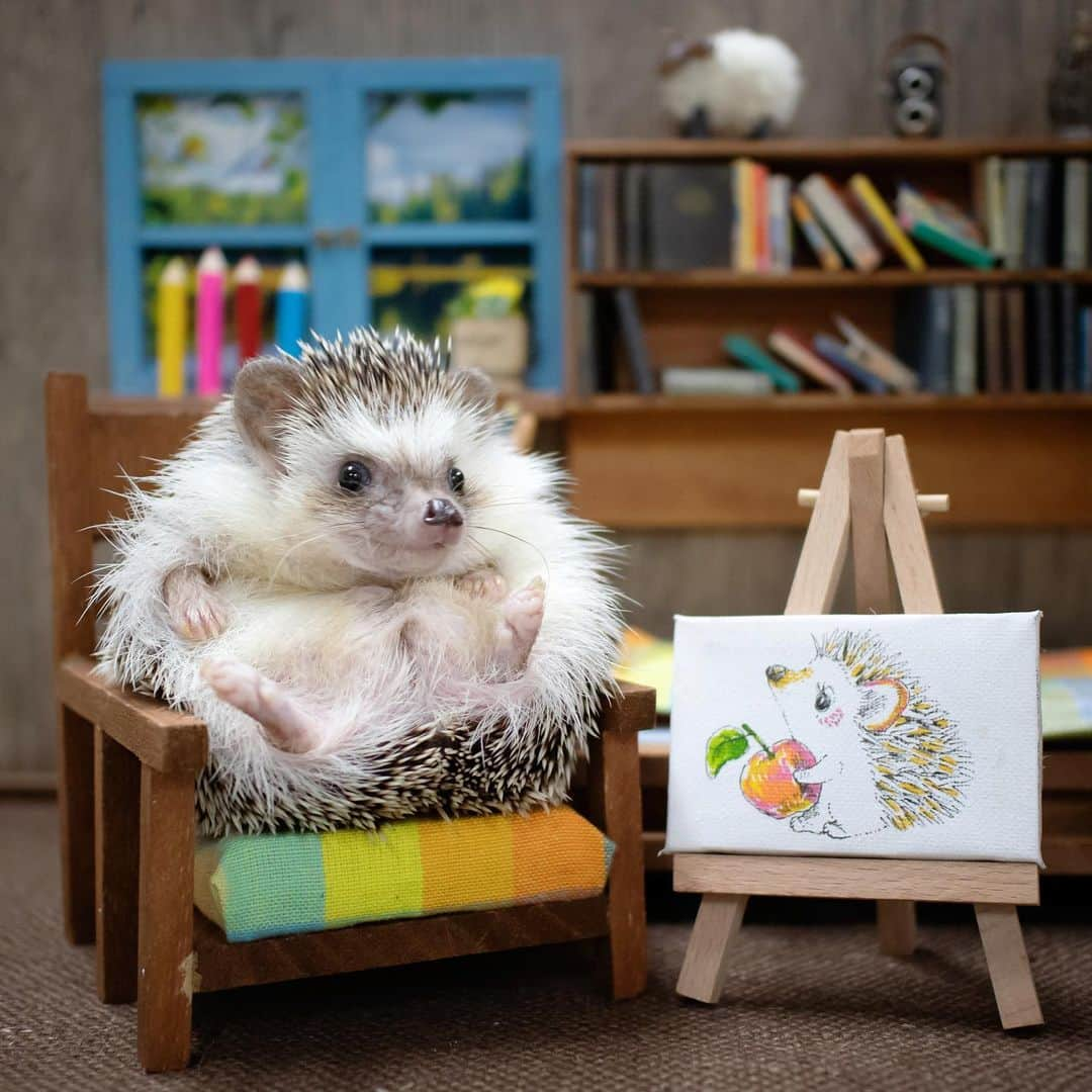 ダーシーさんのインスタグラム写真 - (ダーシーInstagram)「Hedgehogs love art👨‍🎨🎨✨ ・ ・ ・ 昨日 @shabecommu さんで実施した「ハリネズミを可愛く撮りたいセミナー」で撮らせてもらったハリちゃん達をちょっとご紹介🦔✨ ショパンのアトリエにていわさきさん(@uchador)にお願いしたイラストと記念撮影しました👨‍🎨🎨✨ 最後の動画はセミナー中に外に出たがるはくびくん🤣🤣🤣(@hmhr0203)」12月8日 23時00分 - darcytheflyinghedgehog