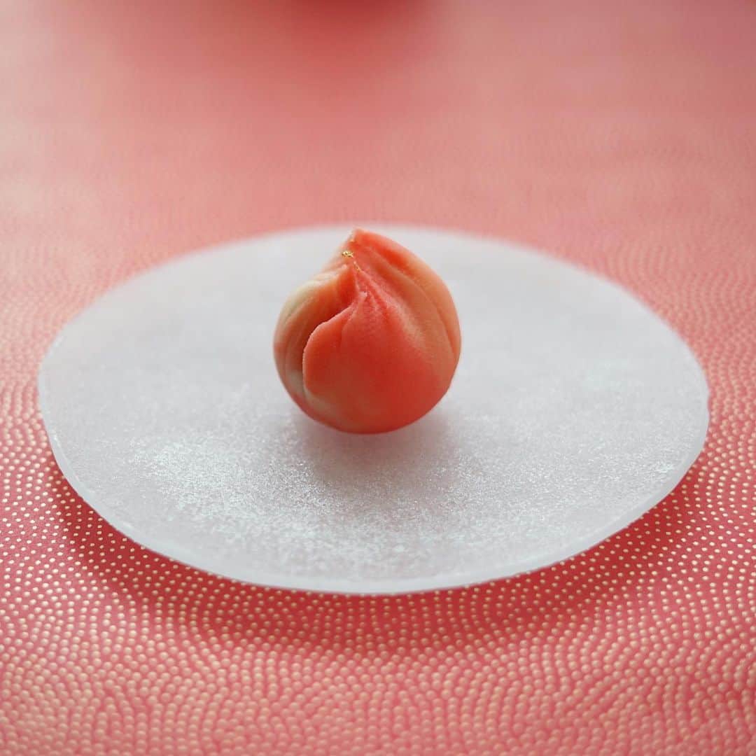 YUKI FUJIWARAのグルメインスタ