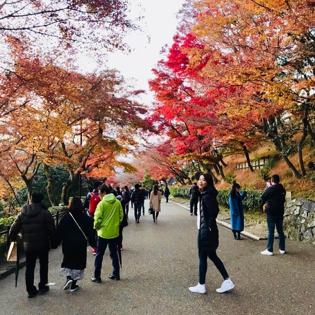 中川聴乃さんのインスタグラム写真 - (中川聴乃Instagram)「久しぶりの京都⛩✨ 1年に一度は行きたくなる。そんな場所の一つです😌 いつもは #大原三千院 ともう1箇所回るくらいなのですが、今回は色んな箇所を回ってみました😊🍁 少し紅葉🍁も見れたので季節感も感じられましたし✨ 京都ならではのお料理も沢山頂いて🦀 とっても楽しい旅になりました✨ 今回行ったお食事処は  @akino_0426 でも紹介しています🍽🍣 ・ ・ #京都 #金閣寺 #銀閣寺 #二条城 #清水寺 #三十三間堂 #お寺めぐり大好き🍡  #美味しいもの大好き  #自然大好き  #和菓子の実演見学」12月8日 23時56分 - nakagawaakino24