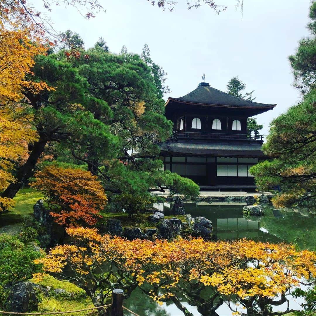 中川聴乃さんのインスタグラム写真 - (中川聴乃Instagram)「久しぶりの京都⛩✨ 1年に一度は行きたくなる。そんな場所の一つです😌 いつもは #大原三千院 ともう1箇所回るくらいなのですが、今回は色んな箇所を回ってみました😊🍁 少し紅葉🍁も見れたので季節感も感じられましたし✨ 京都ならではのお料理も沢山頂いて🦀 とっても楽しい旅になりました✨ 今回行ったお食事処は  @akino_0426 でも紹介しています🍽🍣 ・ ・ #京都 #金閣寺 #銀閣寺 #二条城 #清水寺 #三十三間堂 #お寺めぐり大好き🍡  #美味しいもの大好き  #自然大好き  #和菓子の実演見学」12月8日 23時56分 - nakagawaakino24