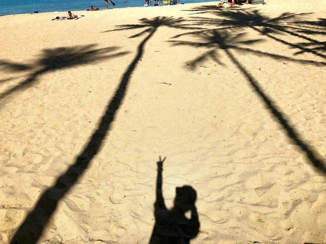 橋口いくよさんのインスタグラム写真 - (橋口いくよInstagram)「I have a trip to Hawaii planned for 2020. ﻿ わーーーーい。﻿ 来年のハワイのエアもホテルもとったーーー。﻿ 今回は怒涛の日々になる予定。﻿ ﻿ #hawaii #oahu #hawaiitrip #waikiki #hawaii2019 #hawaiistagram #beach #アロハ萌え #ハワイ #ハワイ旅  #ワイキキ #ビーチ﻿ ﻿」12月8日 23時59分 - ikutorias_secret