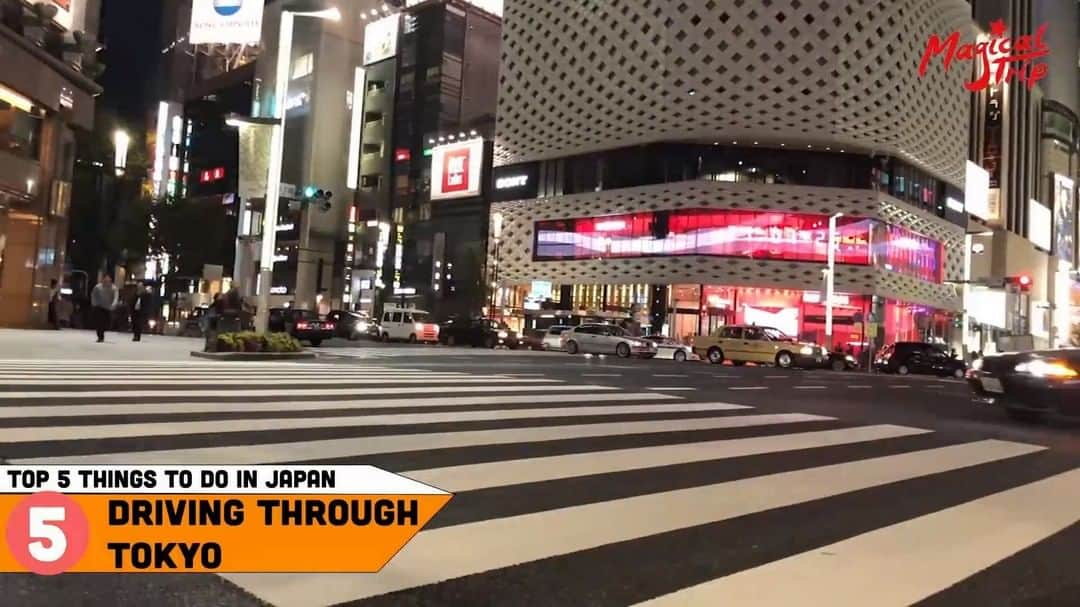 MagicalTripのインスタグラム：「【Top 5 things to do in Japan🇯🇵】 * * Hello! This is MagicalTrip @magicaltripcom! So we've been sharing “Top 5 things to do in Japan” in the last few days. Today we picked for No.4, Driving through Tokyo!🚘 You  can see a nice night view if you drive through Tokyo at night!It's definitely romantic. We will be releasing the driving experience soon so please wait for the announcement!  MagicalTrip.com @magicaltripcom * * #magicaltrip #magicaltripcom #magicaltripjapan #japantravel #japantrip #japantrip2019 #japanwinter #japantours #thingstodoinjapan #japanesefood #japaneseizakaya #japanesebars #tokyotrip #tokyotravel #osakatrip #osakatravel #kyototrip #kyototravel #hiroshimatrip #hiroshimatravel #tokyo #kyoto #osaka #hiroshima #japan #japanese #tokyodrive」