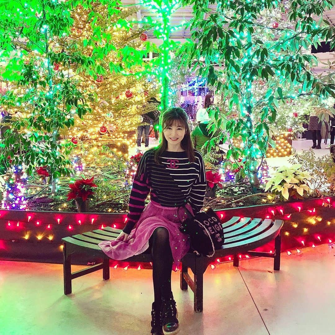 清水彩子のインスタグラム：「この時期、キラキラが沢山で可愛い❤️ #新潟さんぽ🌸 #イルミネーション #クリスマス」