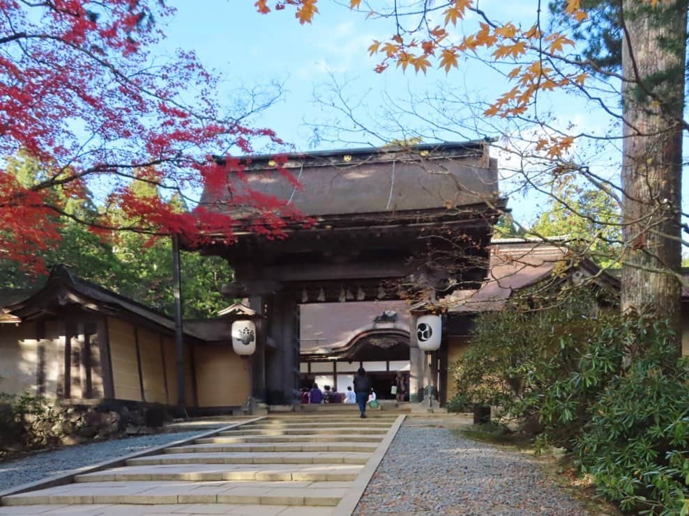 小林未来さんのインスタグラム写真 - (小林未来Instagram)「かぎろひ号で向かったのは、高野山🍁🍁🍁 お天気にもガイドさんにも恵まれ、見所を効率よく回れたものの…ツアーゆえに時間の限界が悔しい🥺 じっくり再訪したいところです🚃 #高野山 #壇上伽藍 #根本大塔 #奥之院 #弘法大師 #南無大師遍照金剛 #金剛峯寺 #紅葉狩り #紅葉 #旅好きな人と繋がりたい #travelphotography #koyasan #koyasanjapan #travelgram」12月9日 0時12分 - mirai.kobayashi