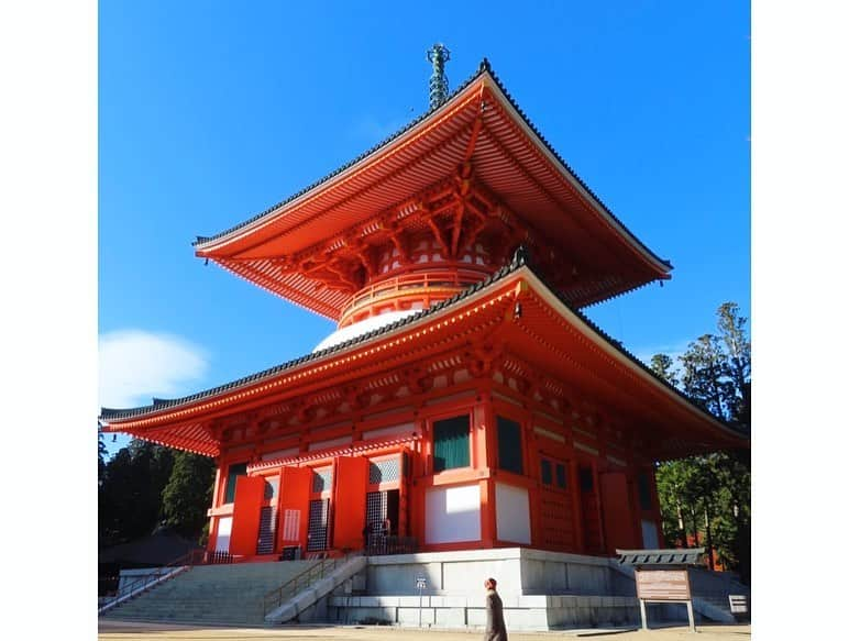 小林未来さんのインスタグラム写真 - (小林未来Instagram)「かぎろひ号で向かったのは、高野山🍁🍁🍁 お天気にもガイドさんにも恵まれ、見所を効率よく回れたものの…ツアーゆえに時間の限界が悔しい🥺 じっくり再訪したいところです🚃 #高野山 #壇上伽藍 #根本大塔 #奥之院 #弘法大師 #南無大師遍照金剛 #金剛峯寺 #紅葉狩り #紅葉 #旅好きな人と繋がりたい #travelphotography #koyasan #koyasanjapan #travelgram」12月9日 0時12分 - mirai.kobayashi