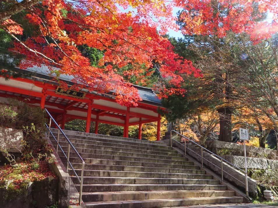 小林未来のインスタグラム