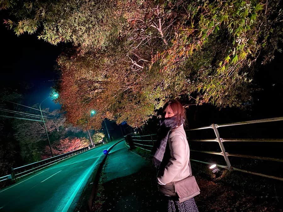 野田彩加さんのインスタグラム写真 - (野田彩加Instagram)「夜の紅葉🍁 #紅葉　#夜の紅葉　#ライトアップ紅葉　#2019」12月9日 0時52分 - aya.205