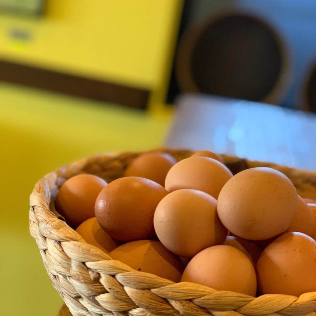 崎山一葉さんのインスタグラム写真 - (崎山一葉Instagram)「🍳 🥚🥚👓 ＊ ＊ @andeggs.okinawa  #okinawa #egg #vegan もあるよ #北谷 #アンドエッグス #今日のランチ」12月9日 1時39分 - kazuha_sakiyama