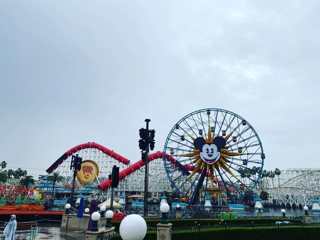 のインスタグラム：「Disney California Adventure Park！！楽しかったよー🌹」