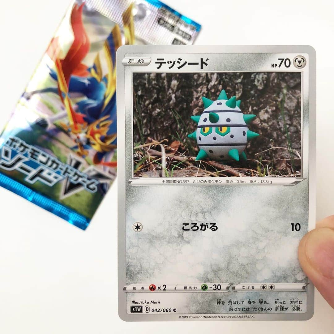 森井ユカさんのインスタグラム写真 - (森井ユカInstagram)「ポケモンカード用、たねポケモンの『テッシード』を、焼いて固める樹脂粘土で作りました。実際の木のふもとで撮影しました。製作難易度の高い完全なタマゴ型です。拡張パック［ソード］に入っている、カモよ⁈ The New Pokémon card has gone out! These are handmade and made of clay(fimo). #ポケモンカード #ポケカ  #pokemoncards #clayart #森井ユカ #yukamorii #ソード #fimo」12月9日 15時25分 - yukamorii