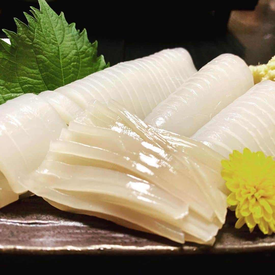 堀江淳のインスタグラム：「‪八戸の烏賊は🦑美味い😋‬」