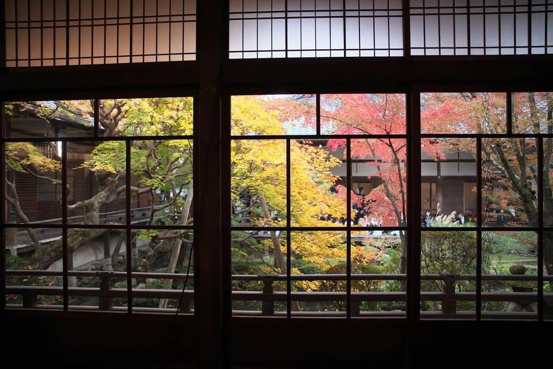 kiccyomuのインスタグラム：「☁️ 2019.12.09 Mon 京都の #紅葉 🍁 モミジの #永観堂 中庭も綺麗でした🍁☺️ もう…懐かしいなぁ * 今日も元気に🤗 * location #京都 撮影 11月22日」