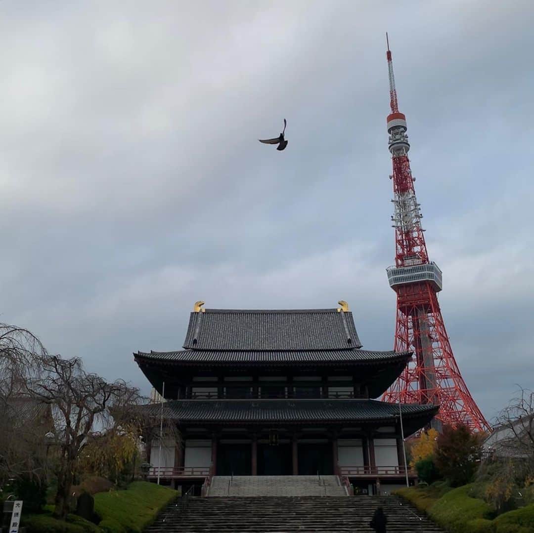 くろさんのインスタグラム写真 - (くろInstagram)「🦅🗼 #tokyotower #東京タワー #増上寺 #zojoji #tokyo_instagram #ventigingerbreadlatte #ヴェンティジンジャーブレッドラテ #gingerbreadlatte #ジンジャーブレッドラテ #starbucks #starbuckscoffee #スタバ #スターバックス #スターバックスコーヒー #スターバックスコーヒー芝大門店 #MYTOKYOIS #TokyoTokyo #🦅🗼」12月9日 8時26分 - m6bmw