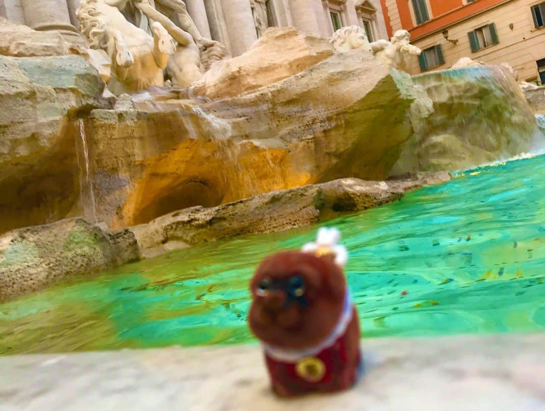 ころさんのインスタグラム写真 - (ころInstagram)「ころツーリスト in #イタリア (#ローマ ) .  おはようございます☀ . 池にコインを投げれば願いが叶うと有名なトレビの泉😍 . 恐らく、ここがローマの観光地で1番人が多いと思います😆💦💦 . 早速、ころと一緒にお願いをしたのですが、どうやら周りを見ていると投げ方にも作法があるようなのでネットで調べてやり直しました😁 . 【コインの投げ方】 1.右手にコインを持つ 2.池に背中を向ける 3.自分の左の肩越しにコインを池に投げ入れる 【コインの枚数】 1枚だと、もう1度ローマを訪れる事が出来る  2枚だと、大切な人とずっと一緒に入れる  3枚だと、今の夫婦やカップルと別れる事が出来る？ . だそうです‼️ . ころの他の写真を見たい方はこちらから！  @koro.dottokoi .  #ころツーリスト #旅 #旅日記 #旅スタグラム #旅すたぐらむ #トラベラー #旅に出たい #旅の記録 #旅好き #旅写真 #旅行好き #旅したくなるフォト #旅フォト #マイトリ #旅行大好き #わんこ #ぬいぐるみ #ぬいどり #ぬい撮り写真部 #マイトリップ #旅の思い出 #旅の思い出 #ぬい撮り #ぬい撮りさんと繋がりたい #ぬいすたぐらむ」12月9日 9時10分 - koro.dottokoi