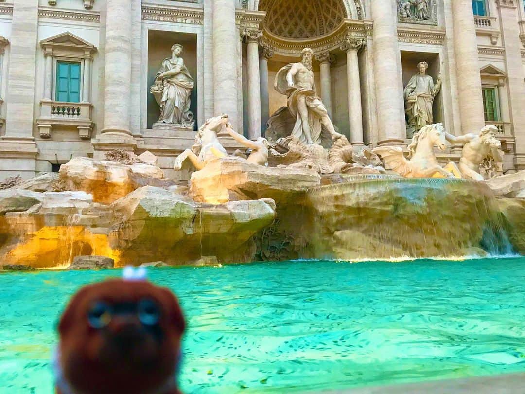 ころのインスタグラム：「ころツーリスト in #イタリア (#ローマ ) .  おはようございます☀ . 池にコインを投げれば願いが叶うと有名なトレビの泉😍 . 恐らく、ここがローマの観光地で1番人が多いと思います😆💦💦 . 早速、ころと一緒にお願いをしたのですが、どうやら周りを見ていると投げ方にも作法があるようなのでネットで調べてやり直しました😁 . 【コインの投げ方】 1.右手にコインを持つ 2.池に背中を向ける 3.自分の左の肩越しにコインを池に投げ入れる 【コインの枚数】 1枚だと、もう1度ローマを訪れる事が出来る  2枚だと、大切な人とずっと一緒に入れる  3枚だと、今の夫婦やカップルと別れる事が出来る？ . だそうです‼️ . ころの他の写真を見たい方はこちらから！  @koro.dottokoi .  #ころツーリスト #旅 #旅日記 #旅スタグラム #旅すたぐらむ #トラベラー #旅に出たい #旅の記録 #旅好き #旅写真 #旅行好き #旅したくなるフォト #旅フォト #マイトリ #旅行大好き #わんこ #ぬいぐるみ #ぬいどり #ぬい撮り写真部 #マイトリップ #旅の思い出 #旅の思い出 #ぬい撮り #ぬい撮りさんと繋がりたい #ぬいすたぐらむ」