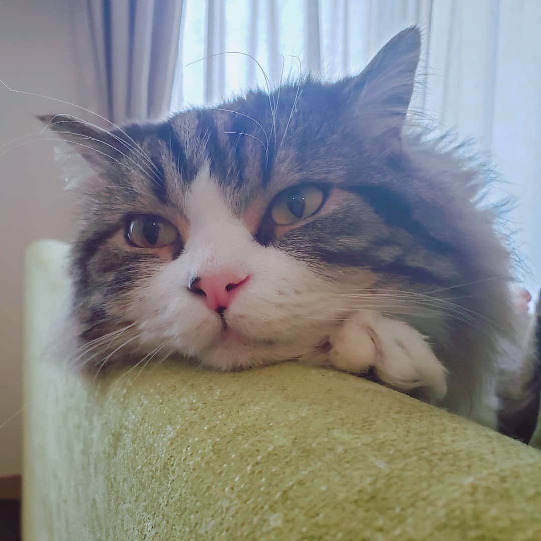 葉山いくみのインスタグラム