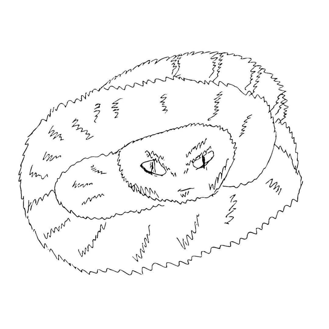 高松雪乃さんのインスタグラム写真 - (高松雪乃Instagram)「‪何を描いたでしょう？🤗 前回のはちゅドル画伯の正解はブッシュバイパーでした！‬ ‪#爬虫類　#両生類　‬ ‪#はちゅドル‬ ‪#はちゅドル画伯‬」12月9日 9時38分 - yukinotakamatsu