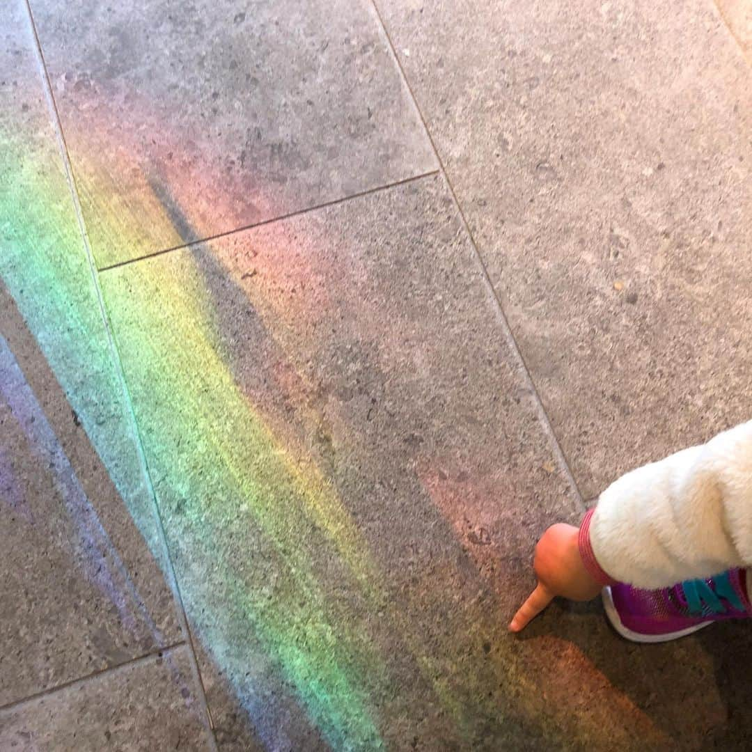 大橋菜央さんのインスタグラム写真 - (大橋菜央Instagram)「She caught a rainbow🌈 . . . 小さな指で 虹をつかまえた😁✨ . . . #rainbow #sevencolors #虹 #🌈 #peacefulmorning #こどものいる暮らし#1歳9ヶ月 #生後21ヶ月 #たれ眉 #たれ目 #miababyliving」12月9日 9時53分 - naoliving