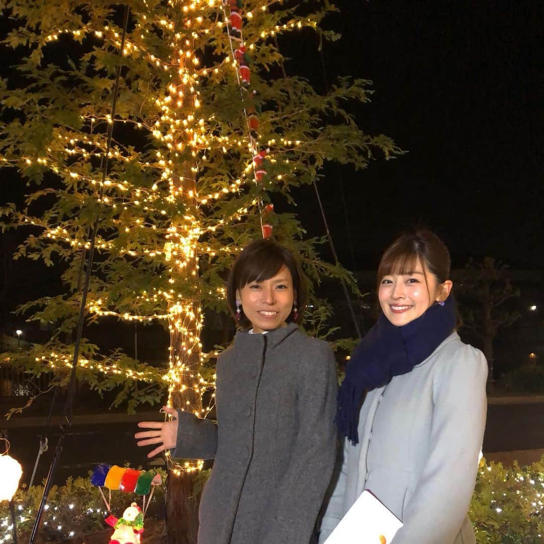 中村秀香のインスタグラム：「今朝は #すまたん お天気担当でした！ありがとうございました。 .  今日から2月末まで #ytv玄関前 のイルミネーションが綺麗です🎄✨ .  会社の中にも、#サンタクロース 発見！🎅 .  #丸田絵理子 さん #中村秀香」