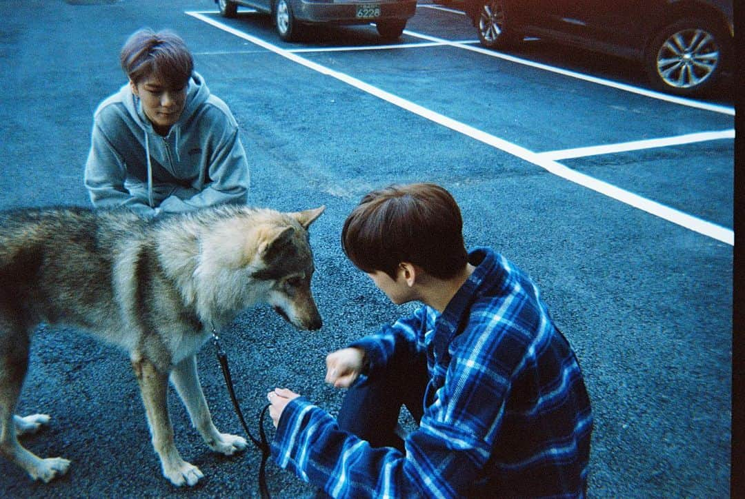 ASTROさんのインスタグラム写真 - (ASTROInstagram)「#BlueFlame 뮤비 촬영장 STAFF의 Story2 📖📸 . #아스트로 #ASTRO #여섯명의_별둥이들_필름감성」12月9日 12時00分 - officialastro