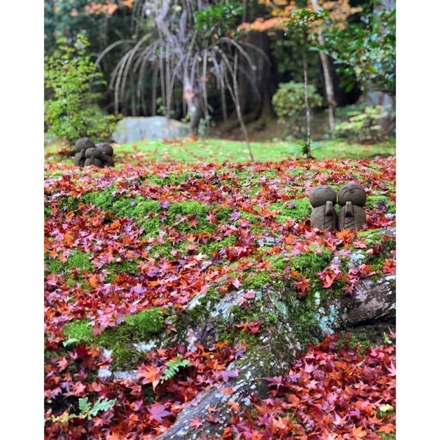 森千波さんのインスタグラム写真 - (森千波Instagram)「11/30🍁 #autumnleaves#autumn #紅葉#詩仙堂#京都#秋」12月9日 12時10分 - 1000wave