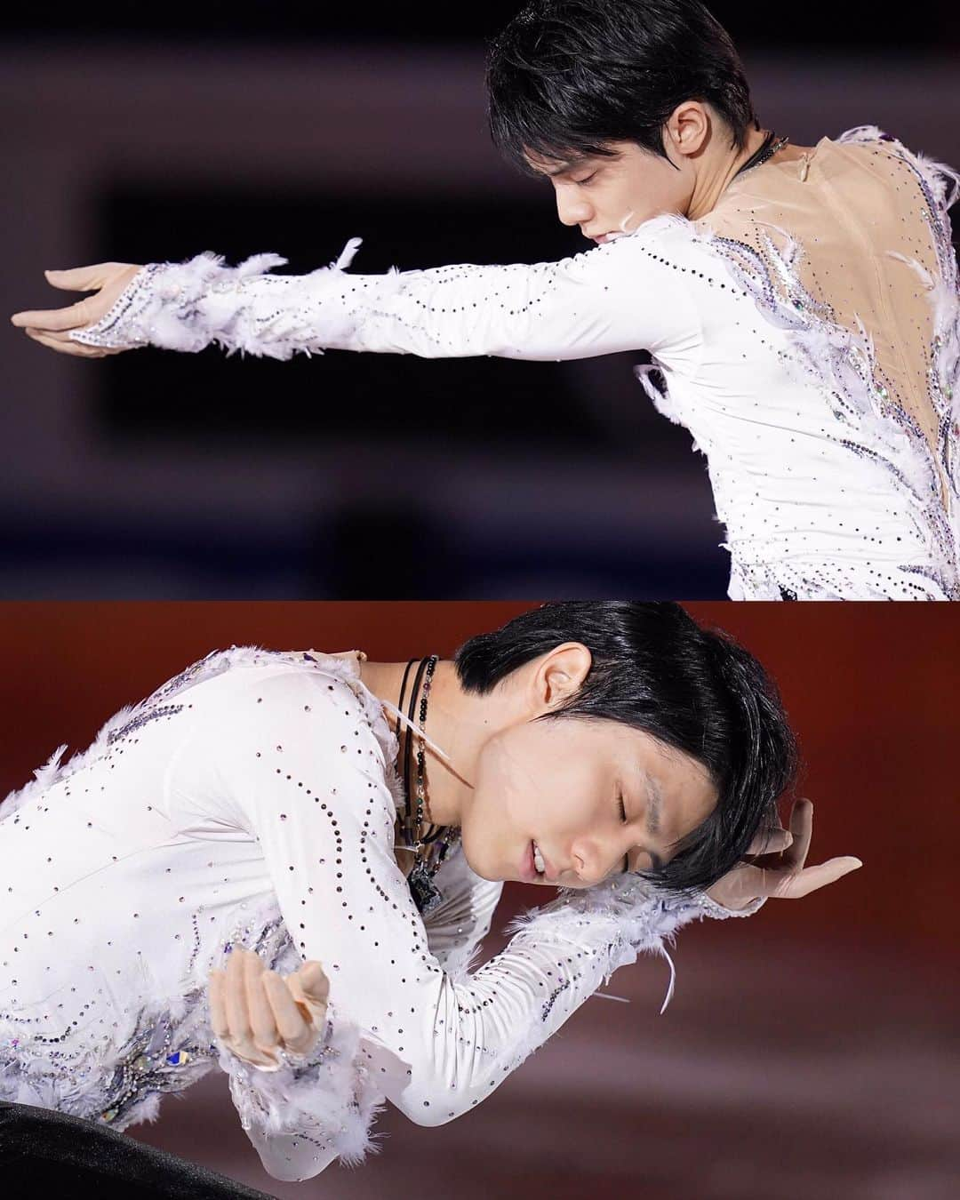 羽生結弦さんのインスタグラム写真 - (羽生結弦Instagram)「🦢✨✨✨ Cr. 矢口亨 ＠yaguchi_hochi (Twitter) #羽生結弦 #yuzuruhanyu #figureskating #figureskater」12月9日 12時40分 - yuzu_kanami