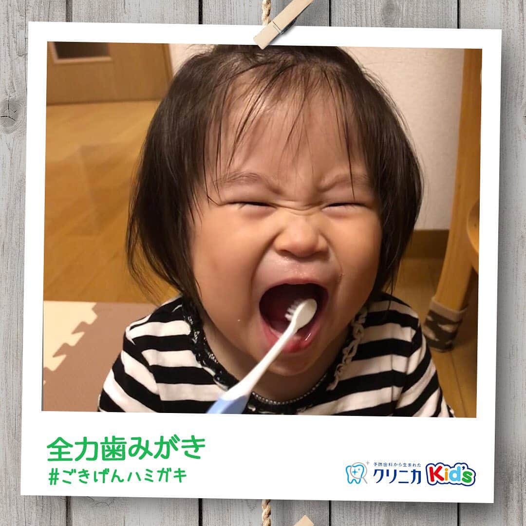 クリニカではじめよう予防歯科のインスタグラム：「今日の#ごきげんハミガキ♪﻿ ﻿ 皆さんこんにちは♪﻿ 今日は ＠nantaco さんの#ごきげんハミガキ です！﻿ ﻿ 「自分で歯みがき」デビュー✨﻿ ﻿ 歯みがきを覚えて自分でシュッシュできるようになりました！﻿ ただ、歯をみがくときは一生懸命になりすぎて、お顔もぎゅーっと力が入っちゃうみたい🧒🏻﻿ 歯みがきの時はお顔を見たくなっちゃいますね！﻿ ﻿ ----------------------﻿ #ごきげんハミガキ の投稿を募集中！﻿ クリニカKid’s公式アカウントでご紹介させていただきます♪﻿ ----------------------﻿ #クリニカ #クリニカキッズ #歯磨き #歯みがき #はみがき #ハミガキ #歯みがきタイム #歯磨き中 #育児 #育児日記 #育児記録 #子育て #子育て記録 #こども #女の子 #女の子ママ #仲良しきょうだい #子供の成長 #成長記録 #成長 #ママライフ #親バカ部 #親バカ日記 #子供のいる暮らし #ママカメラ #1歳」